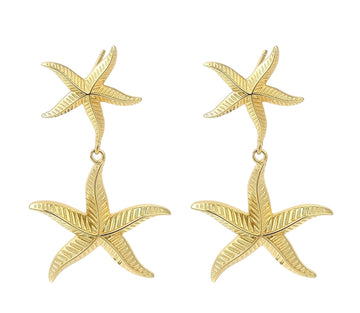 Double Starfish