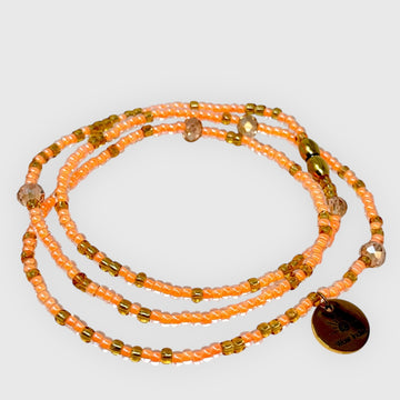 Corail phosphorescent